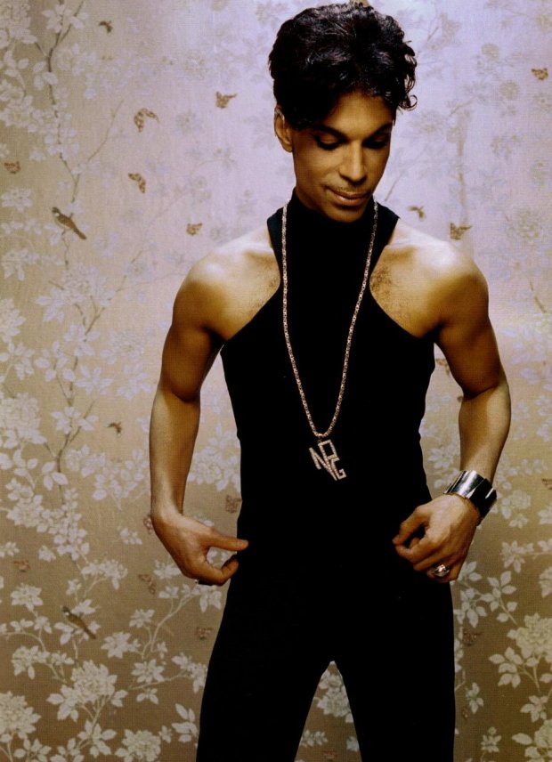 prince-in-musicology-promo-pic-ii